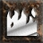 Fire Wall